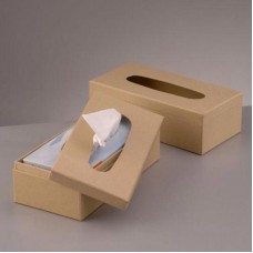 Κουτί Χαρτονένιο για Χαρτομάντιλα 26X13,5X8cm_2634025